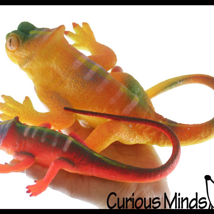 Curious Minds Toys - Wholesale Fidget toy – Kids - 1 Jumbo Grow a Lizard in Water - Add Water and it Grows up14