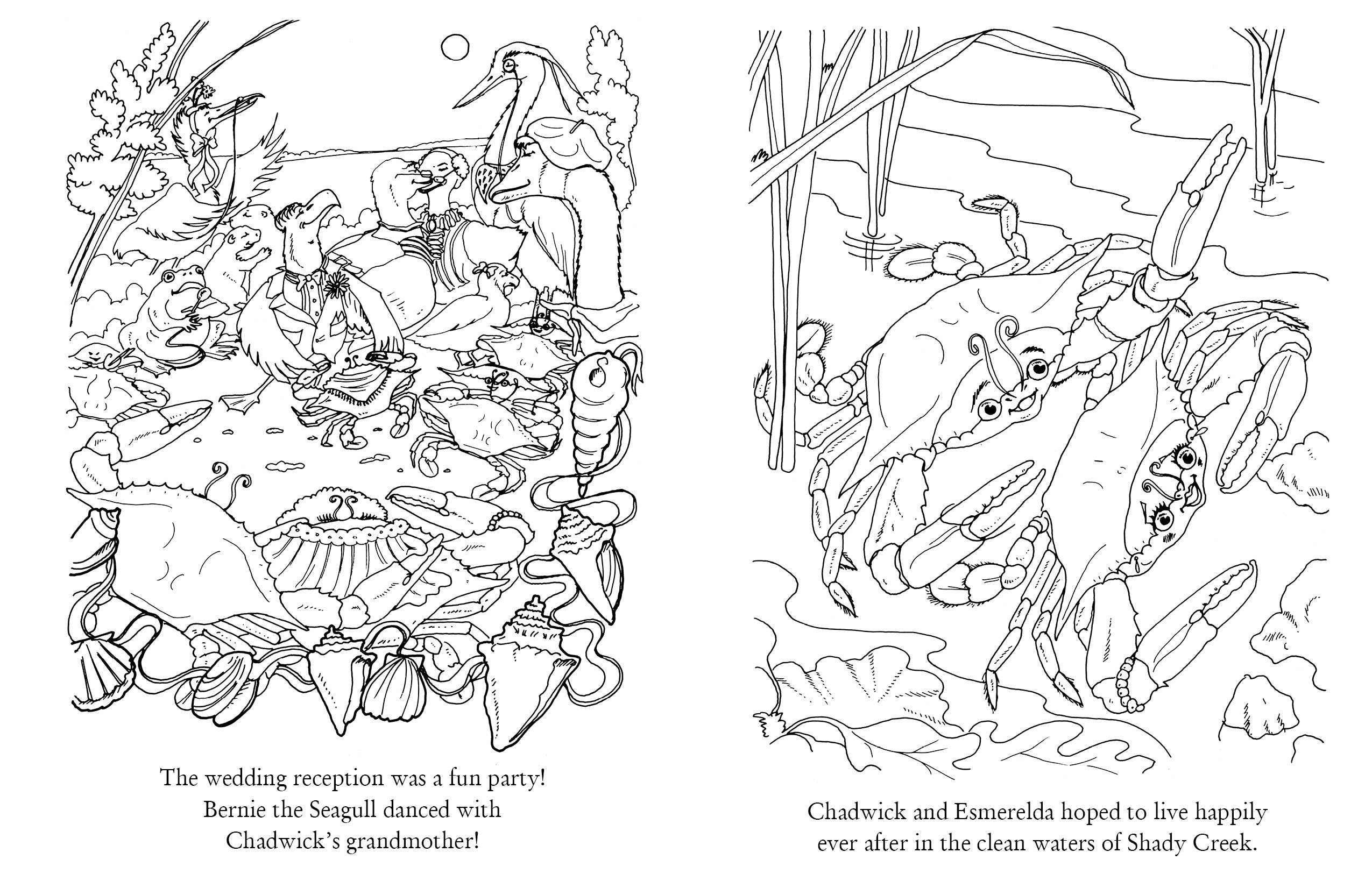 Schiffer Kids - Wholesale Coloring & Activity Book - Kids & Baby - Chadwick Activity Book5