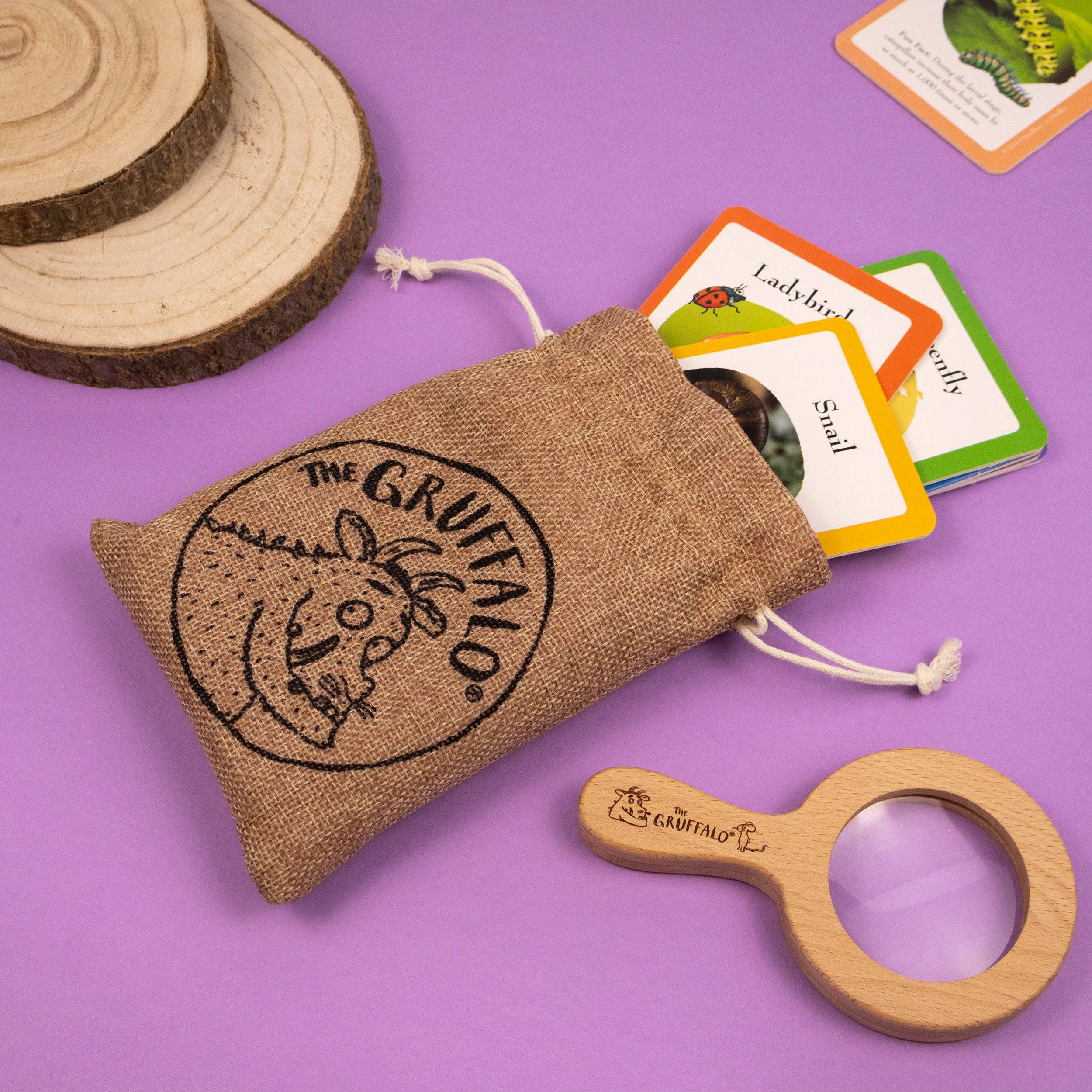 Robert Frederick Ltd – wholesale Toy set – Kids – The Gruffalo Bug Spotter Activity Set7