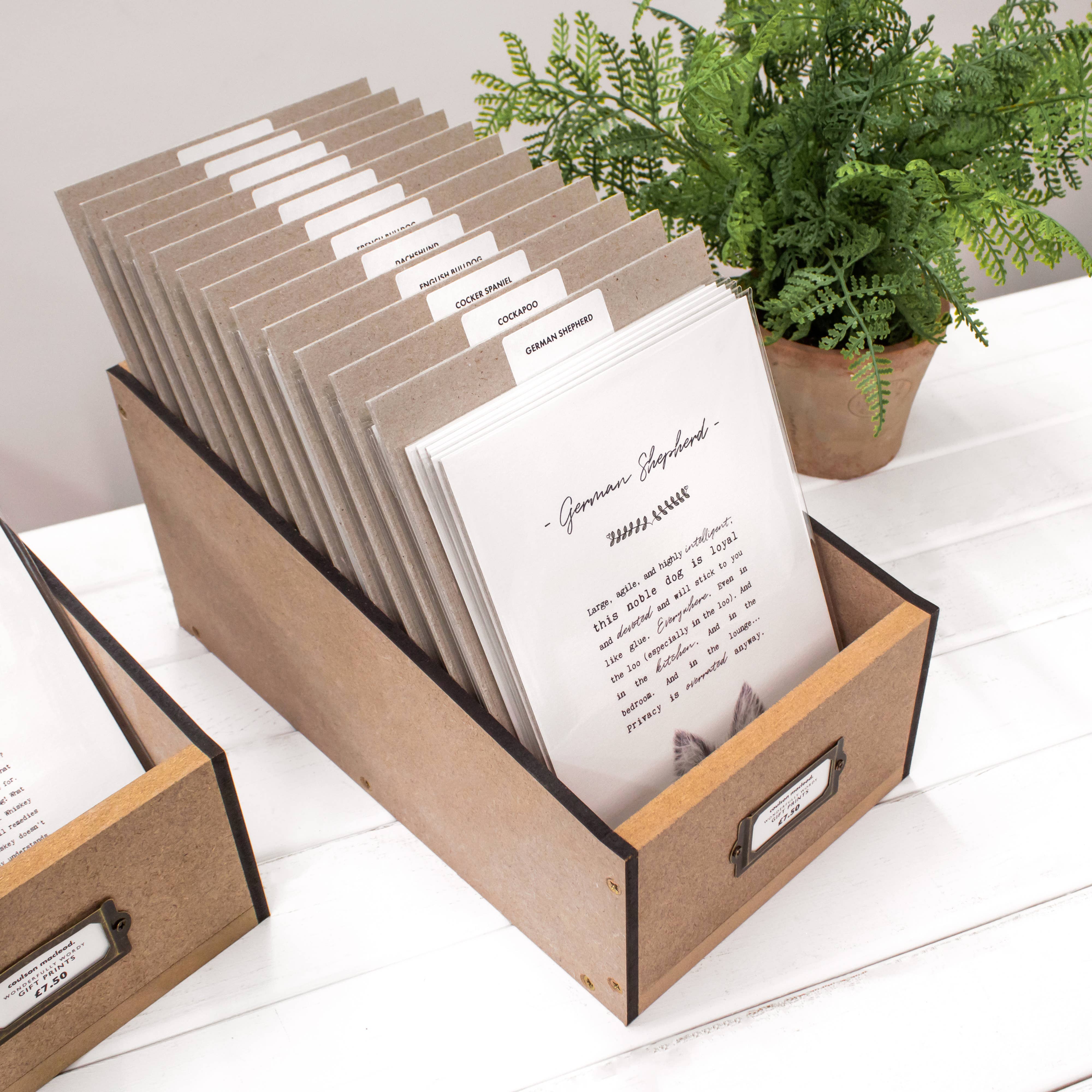 Coulson Macleod (U.S. Duties Paid) - Wholesale Art Print - Best-Selling 'Pooch' Dog Prints with Wooden Display Box3