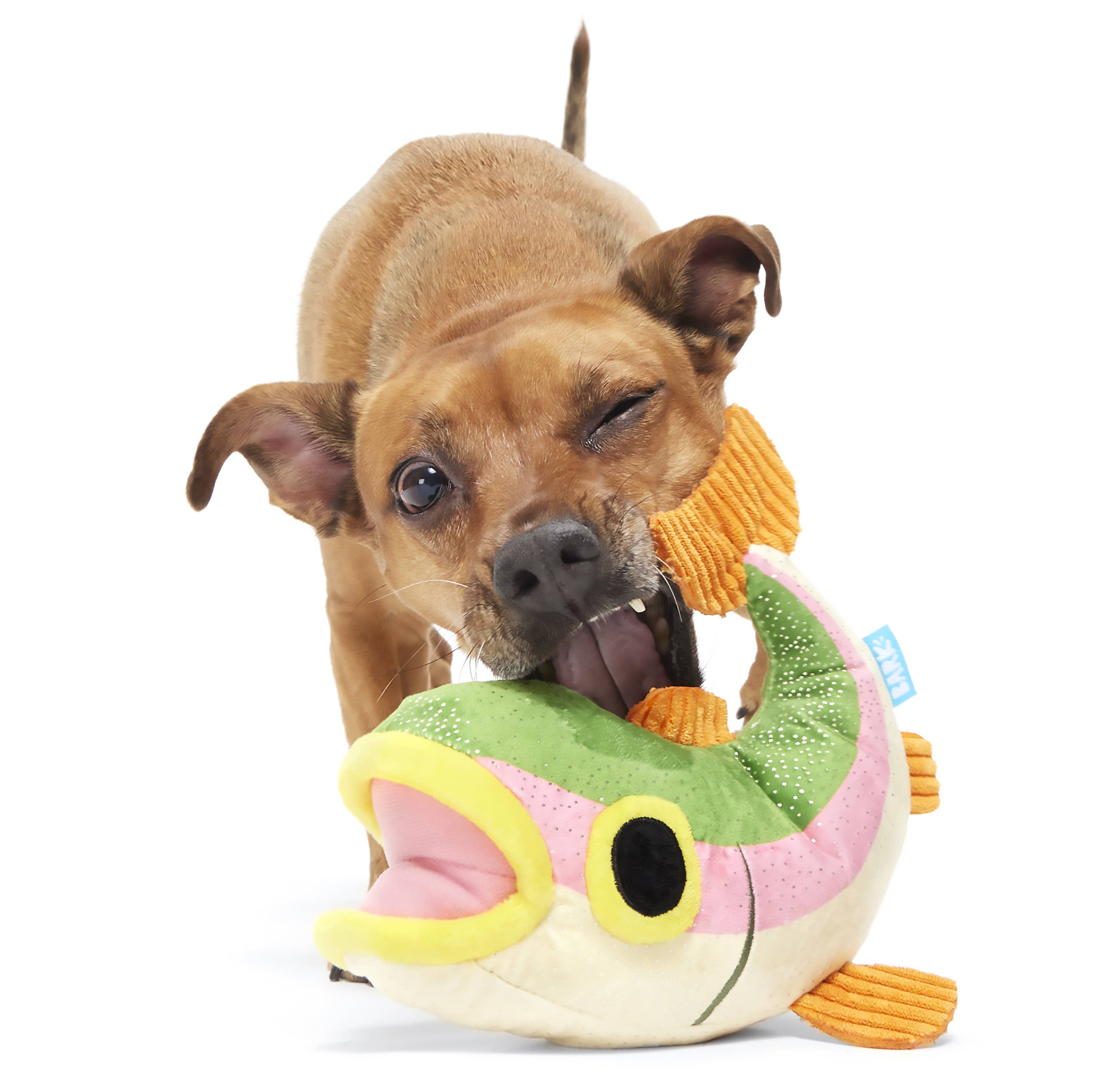 Pet Palette Distribution - Wholesale Pet Plush Toy - Dog - BARK Brooke Trout Plush Dog Toy1