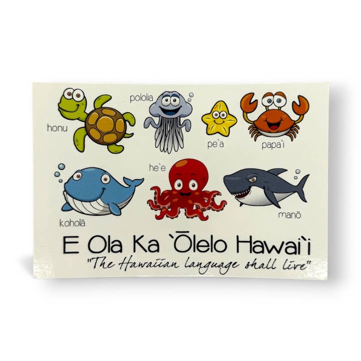KANALOA COLLECTION POSTCARD for wholesale by Homegrown