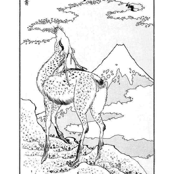 Pomegranate – wholesale Colouring and activity book – adult – Hokusai: Views of Mt. Fuji Coloring Book3