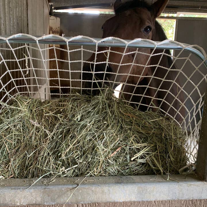 Kensington - Wholesale Bird Feeder - Slow Feed - Freedom Feeder Frame0