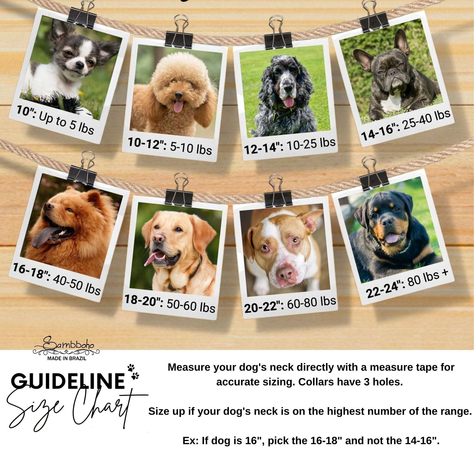 Sambboho - Wholesale Pet Collar - Dog - Zebra Sambboho Dog Collar by Gabriel Feitosa6