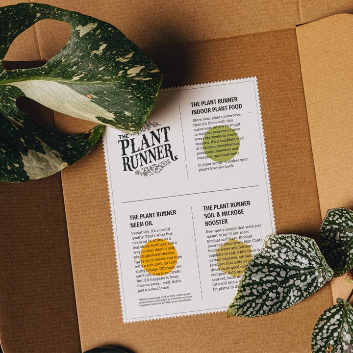 The Plant Runner - Wholesale Plant Mister - Plant Care Booster Kit
