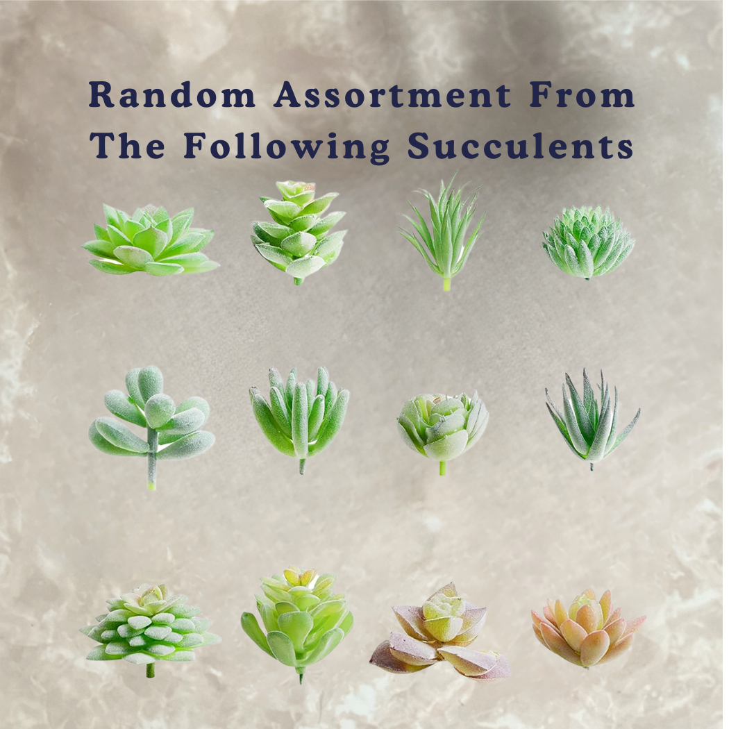 The PlantOutfitter - Wholesale Car Decorative Charm - Unisex - Car Macrame Plant Hanger with Artificial Plant3