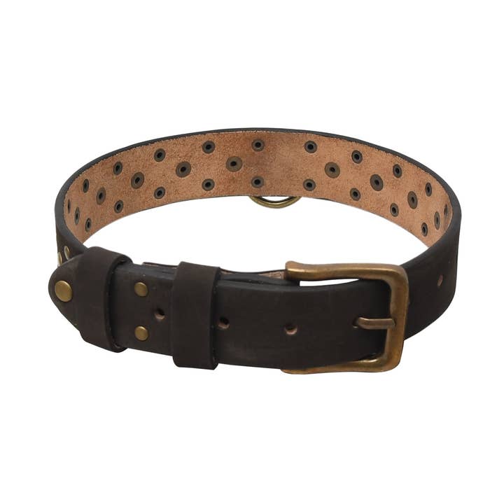 Collier de Chien en Cuir Bridle Design de Luxe Premium pour la vente par USA Leather Shop