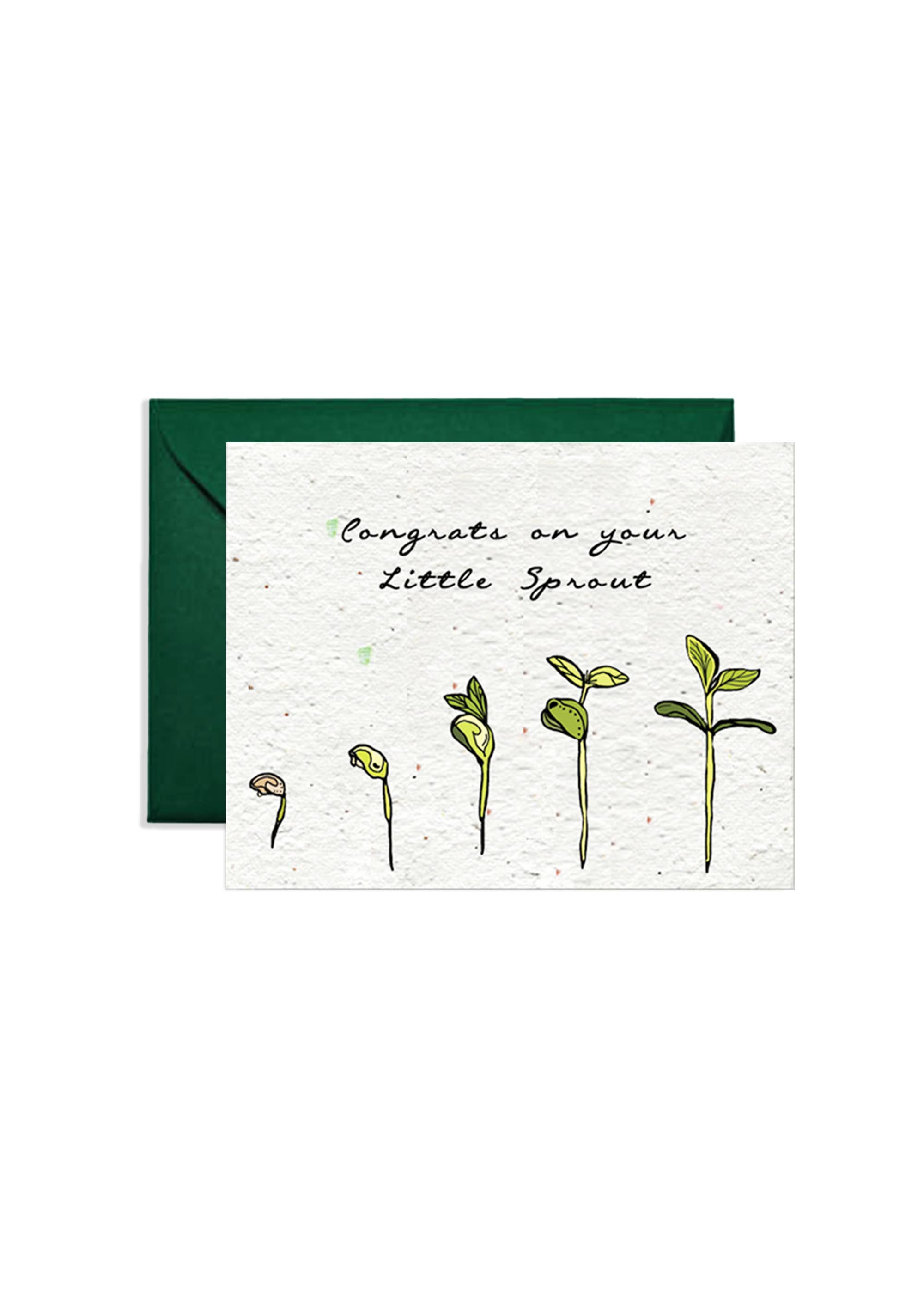 Artsy Em – wholesale Babykort – Spirande glädje: Baby Wildflower Seed Paper Card