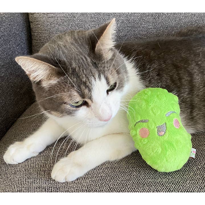 Screaming Pickles - Vente Jouet couineur – chien - Jouets pour animaux de compagnie faits à la main - Catnip/Dog Squeaker Mini Pickle9