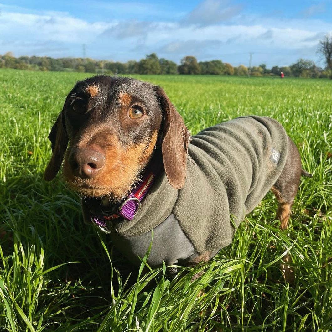 Doghouse – Engroshandel Sweater - Hund – Dachshund fleecetrøje med vandtæt mavepanel6