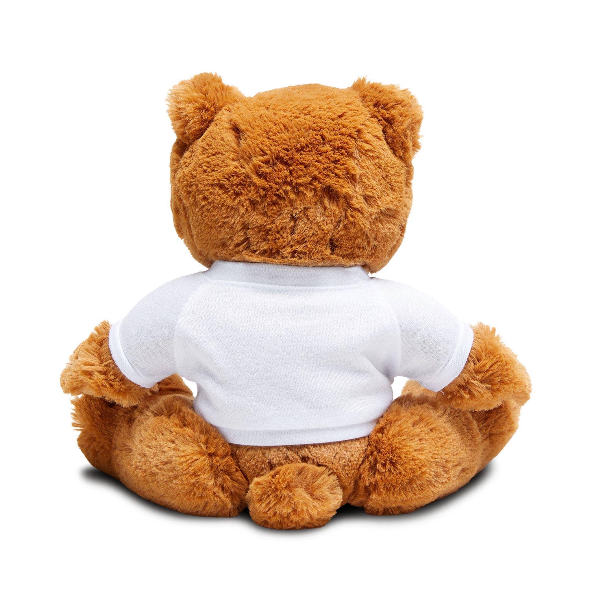 Seeds of Truth Designs – wholesale Stuffed/plush toy – Kids & baby – The Lord is My Light & Salvation Scripture Plush Bear4