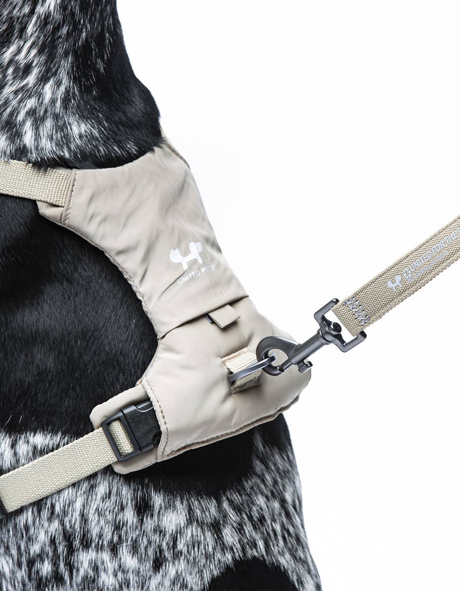 United Pets - Vente Laisse – chien - Harnais rembourré doux pour chien17