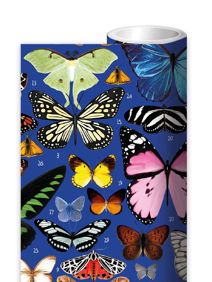 GIFT WRAP CONTINUOUS ROLL 3 METER BUTTERFLIES M&G for wholesale by Notes & Queries, Inc.