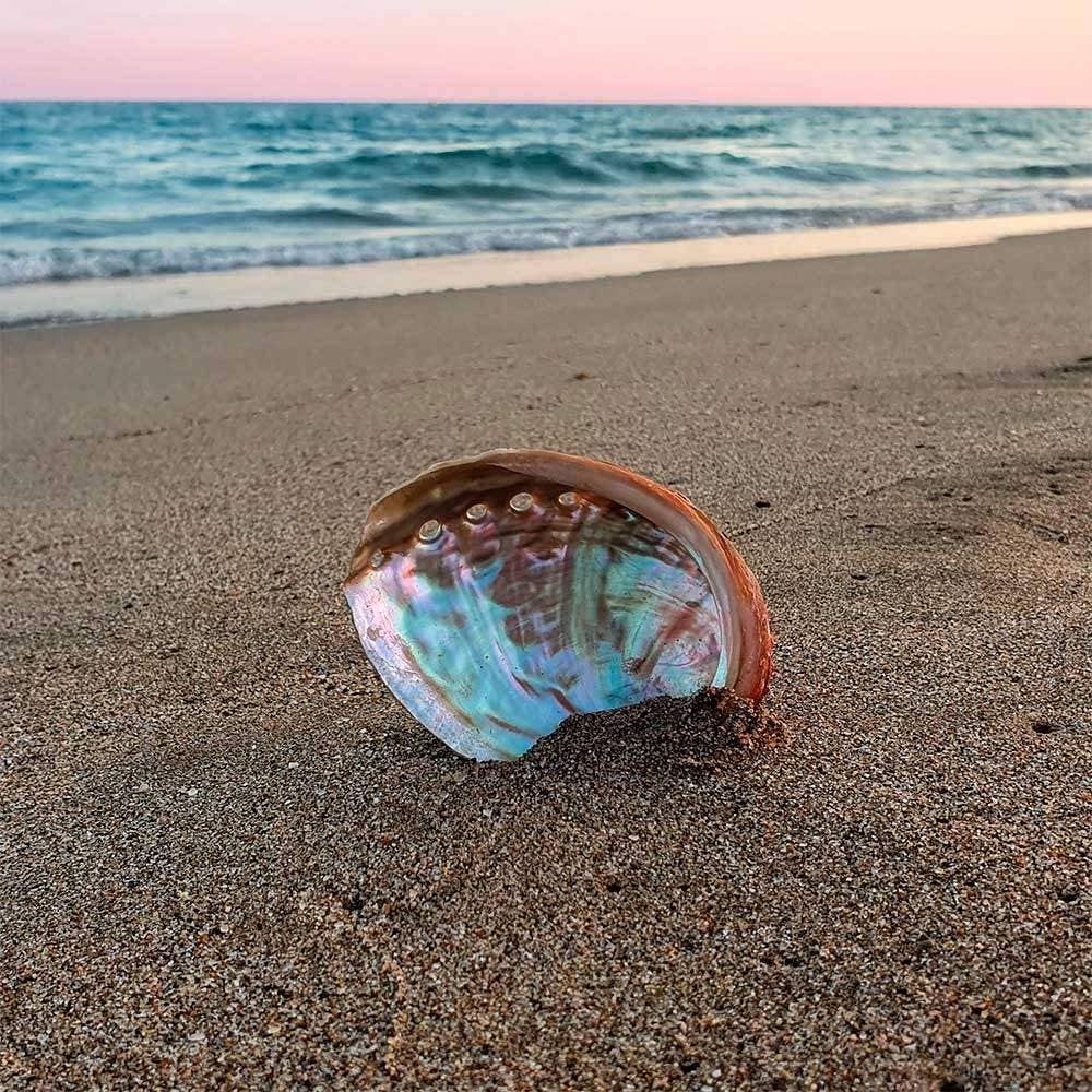 Vives de la Cortada S.L - Wholesale Meditatie benodigdheden - Grote Geknoopte Abalone Schelp2