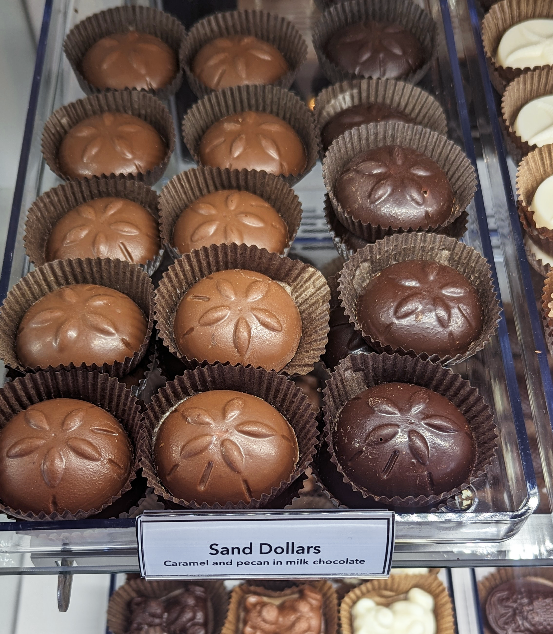 Harbor Sweets Chocolates - Wholesale Chocolate - Harbor Sweets Chocolate 45 Pcs Sand Dollars Bulk box foiled3