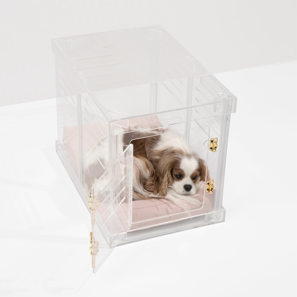 Hiddin - Wholesale Pet Carrier - Dog - Small Crate (Gold Latch)8