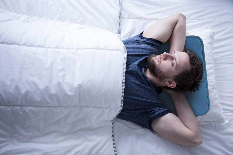 The Green Pet Shop - Wholesale Bedding Pillow - Cool Flash Pillow Pad1