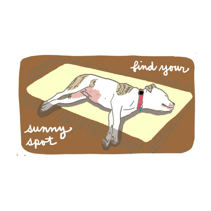 Adesivo Macchia Solare per la vendita all'ingrosso da parte di La Familia Green