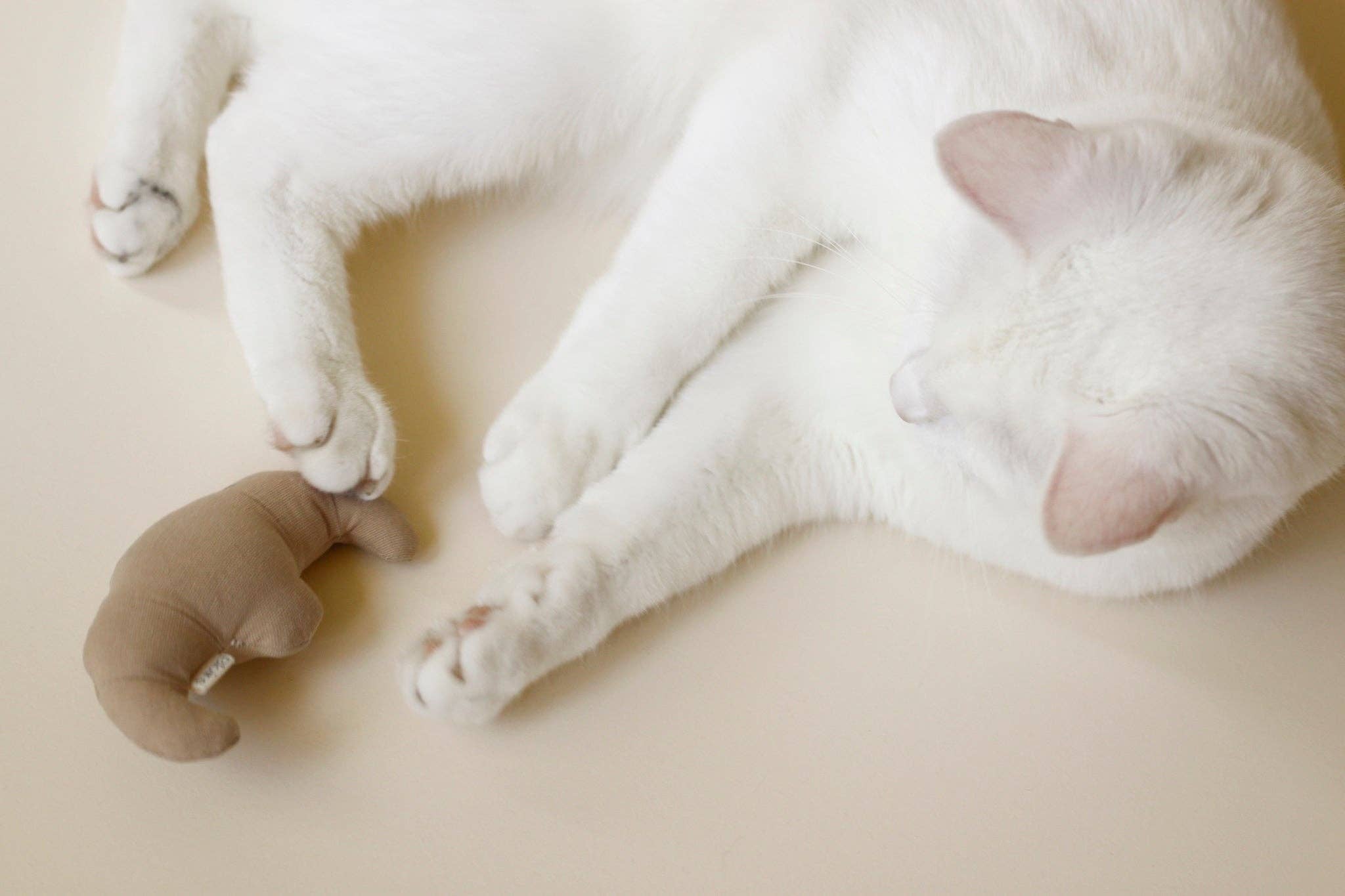 Ecocat - Wholesale Pet Toy - Cat - Cat Toy Buttery Croissant