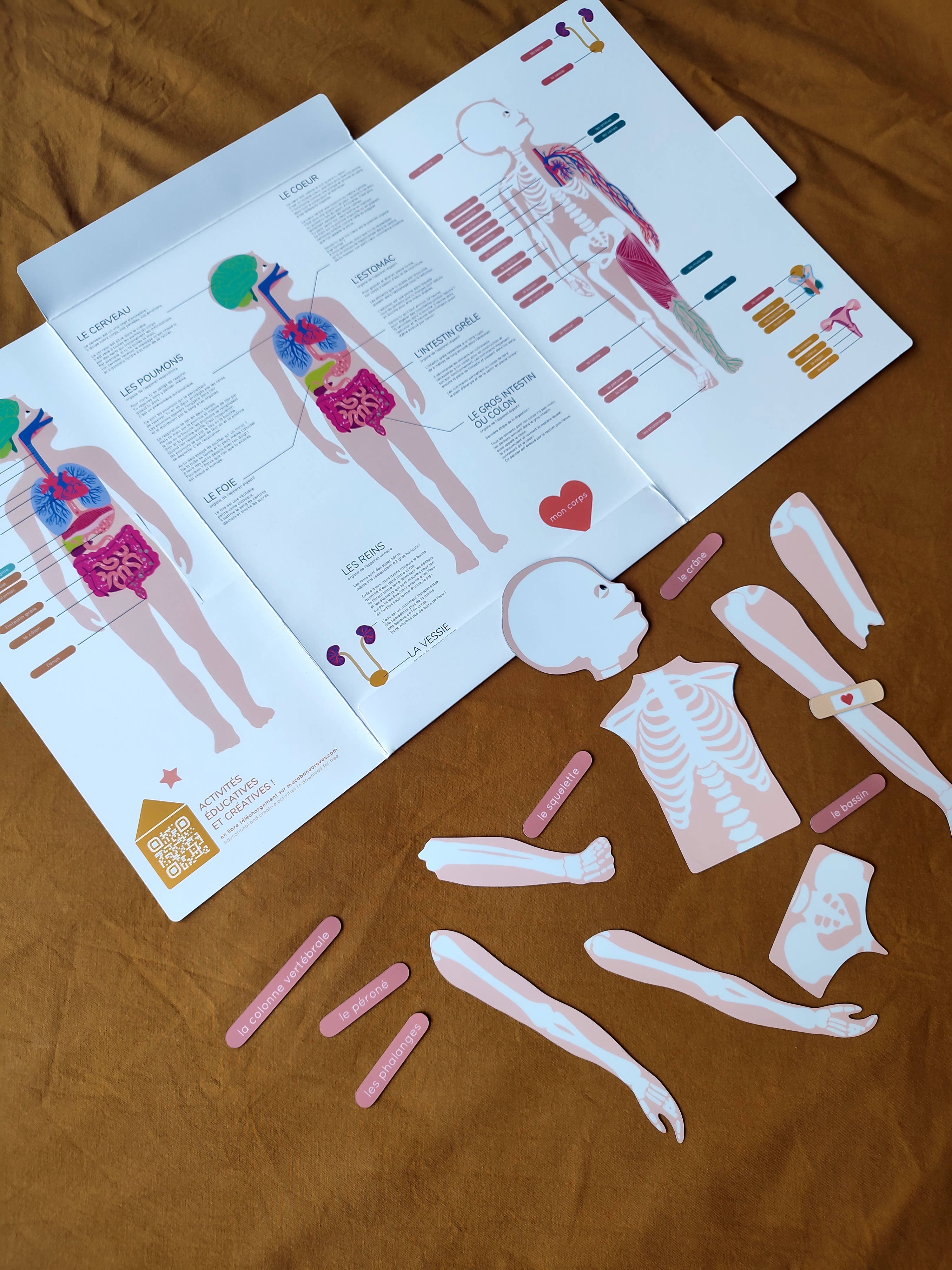 Ma Cabane à Rêves - Venta al por mayor Conjunto de juguetes - Niños - Juego educativo magnético del cuerpo humano6