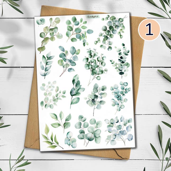 Feuille d'autocollants d'eucalyptus. Autocollants de verdure. pour la vente par DailyStickersUK