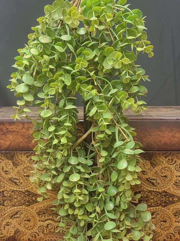 Eucalyptus hanging teardrop arrangement for wholesale by Gary's Wholesale