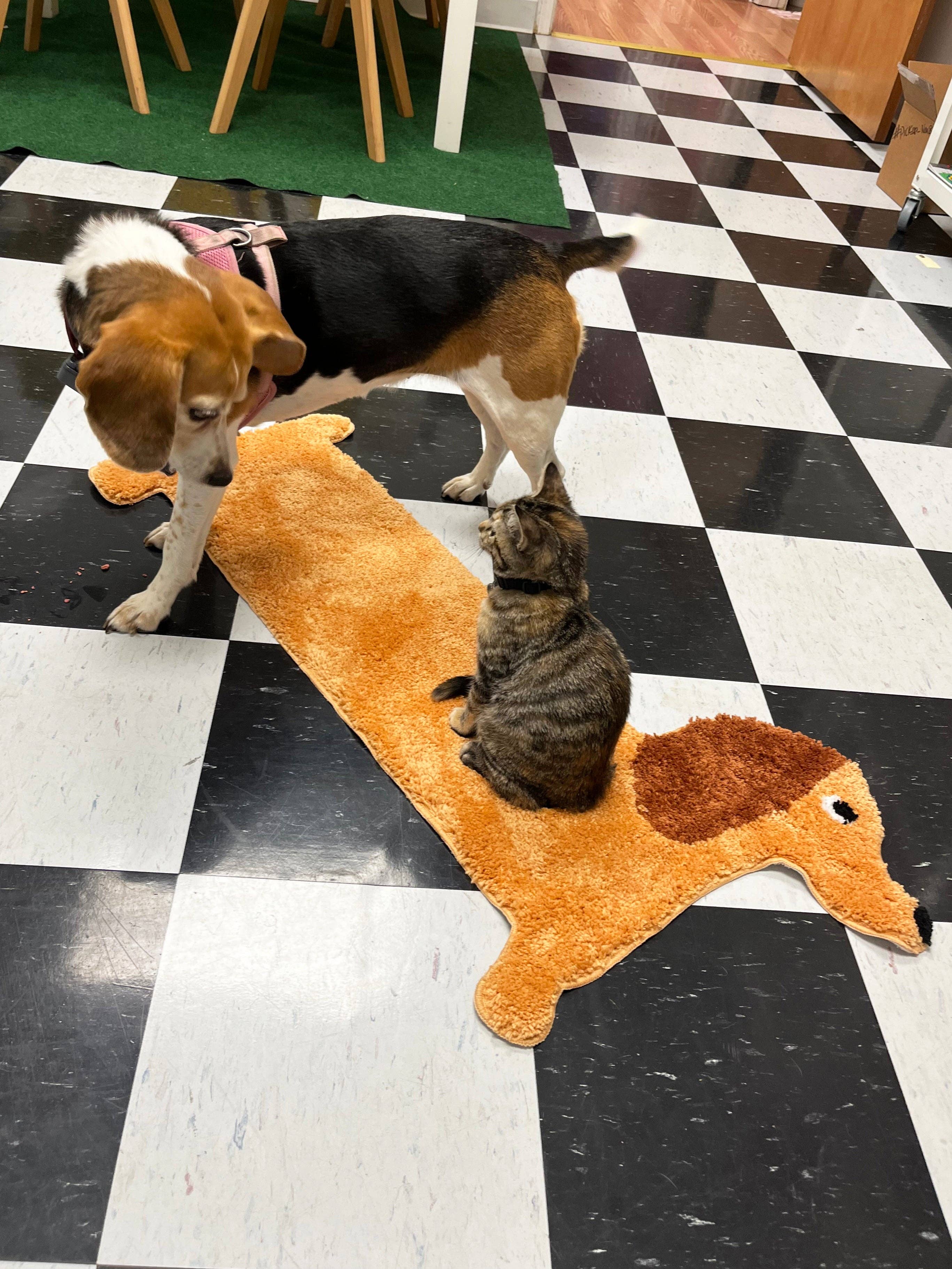 A Shop of Things - Wholesale Door Mat - Dachshund Design Polyester Door Mat7