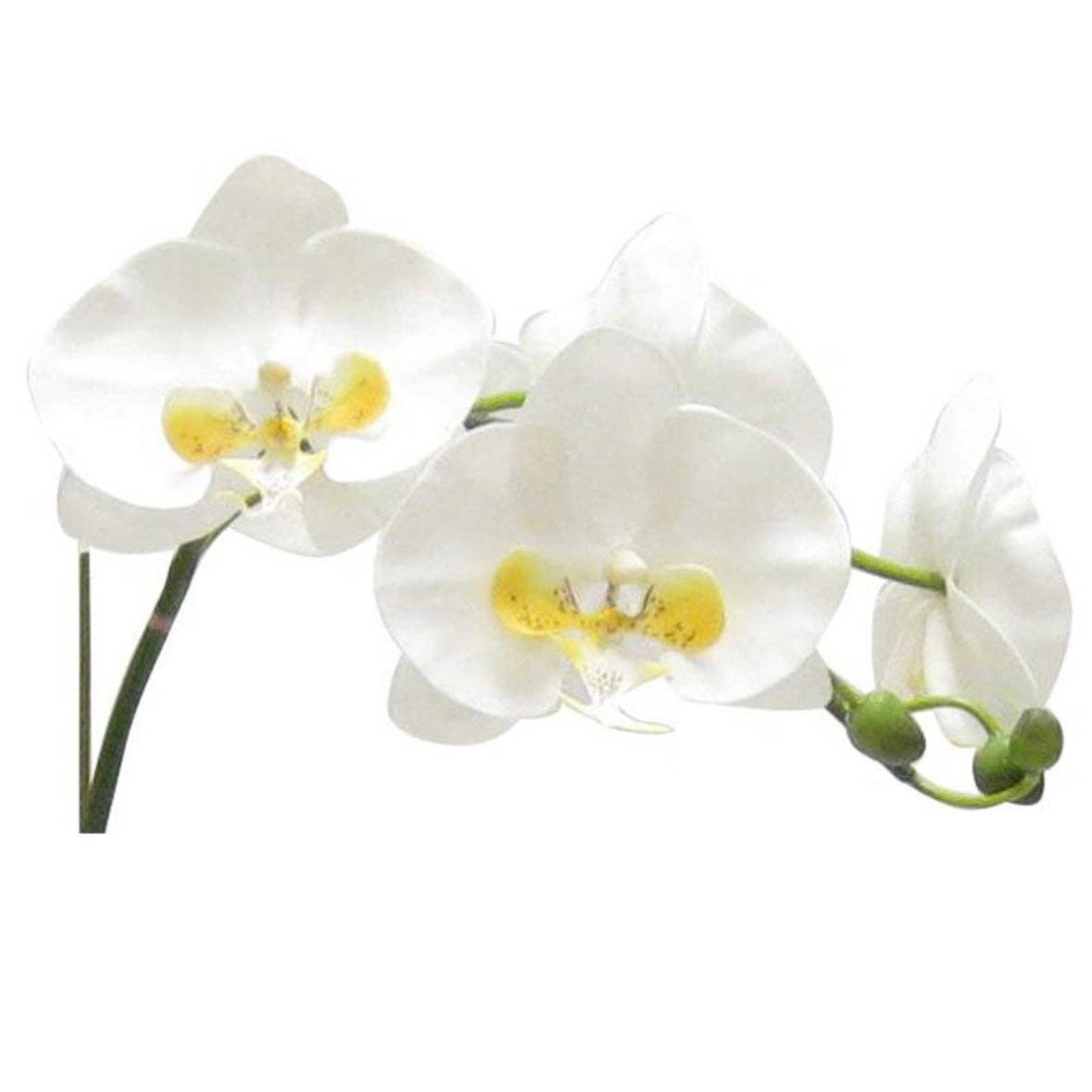Bougainvillea - Wholesale Artificial flowers - [RRC-S-ORYE6] Resin Round Container Silver Leaf - White & Yellow Orchid Artificial - 6 Stems1