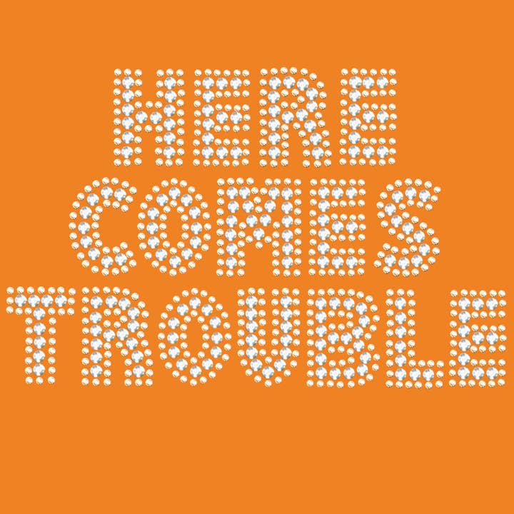 Dog in the Closet - Wholesale Pet Bandana - Dog - Here Comes Trouble Bandanna12