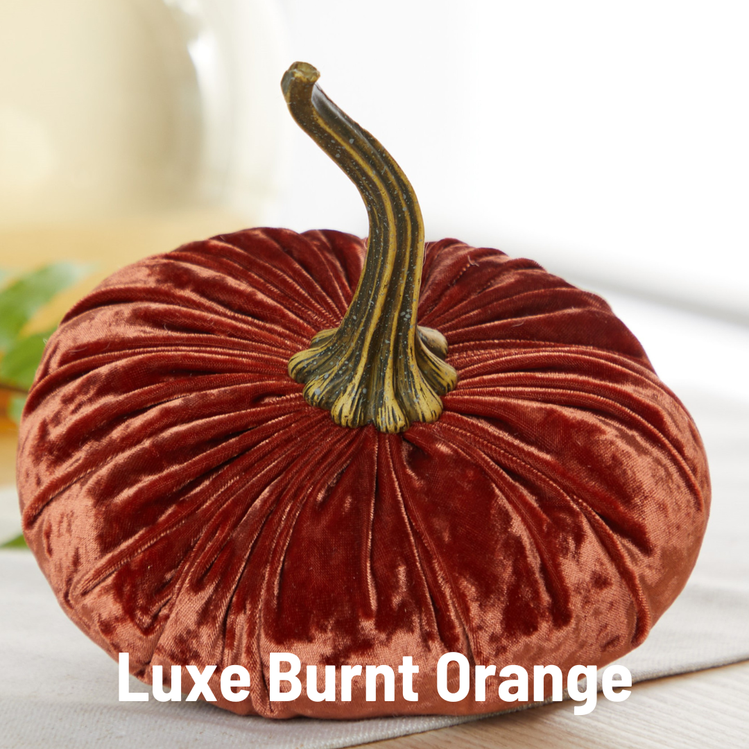 Your Heart's Content - Wholesale Decorative Tabletop Object - Pumpkin Large Velvet, Fall Mantel Decor, Halloween Table5