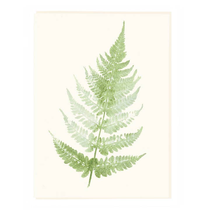 Fern Sympathy for wholesale by mollyOcards