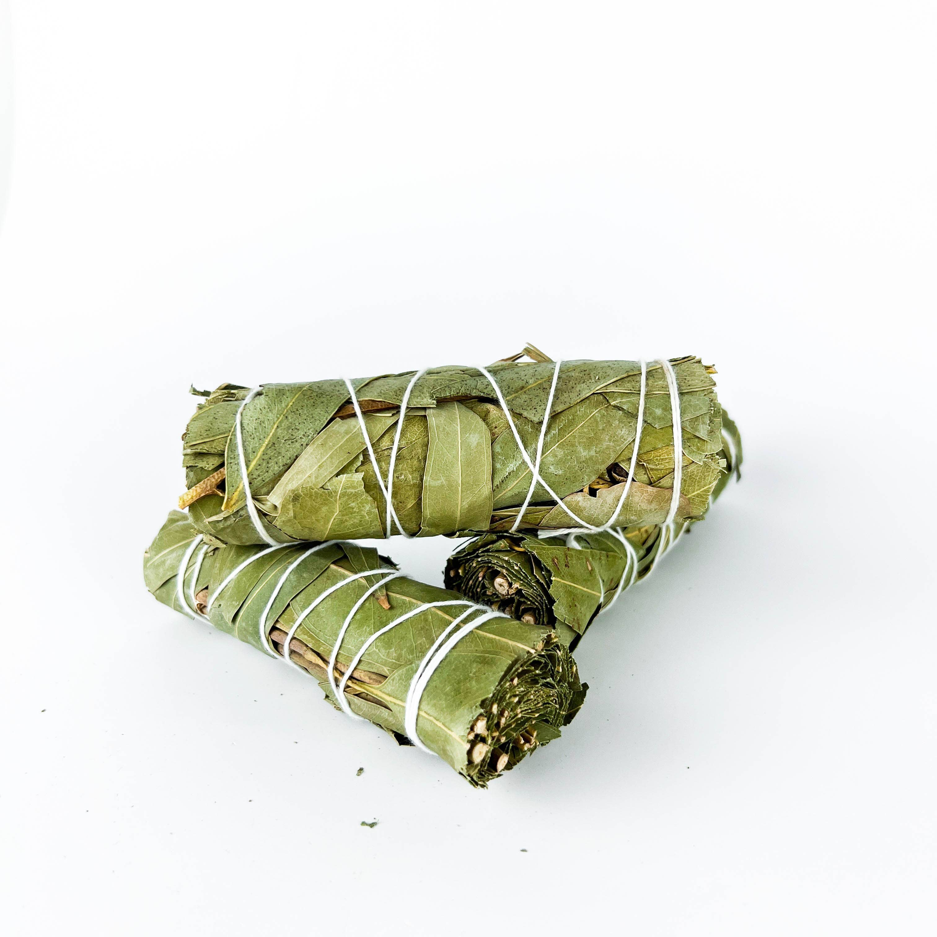 GREENROOTS USA LLC - Wholesale Smudge Stick - Eucalyptus Smudge Stick 4" Bundle For Ceremony, Meditation5