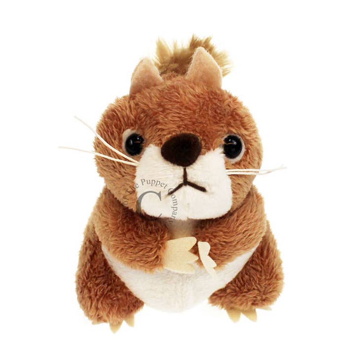 Finger Puppets: Squirrel (Red) for wholesale by The Puppet Company (US)