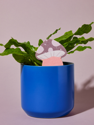 PlantDoc - Wholesale Garden Tool - Single PlantDoc - Mushroom1