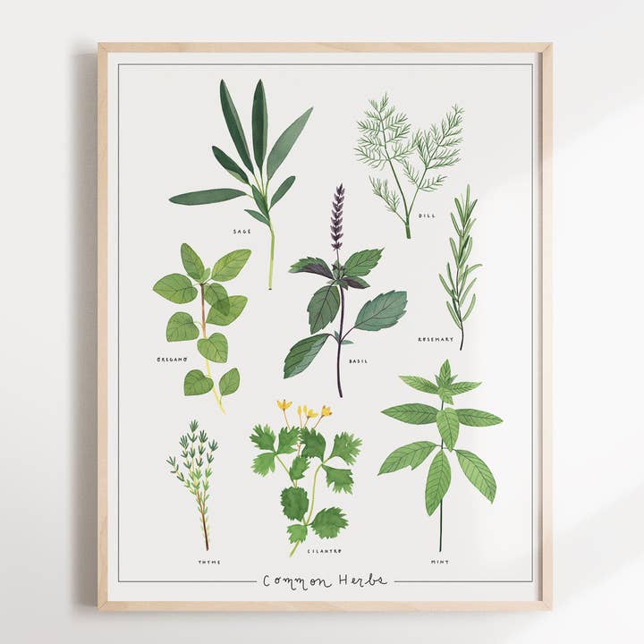 Kruiden Art Print voor wholesale door May We Fly