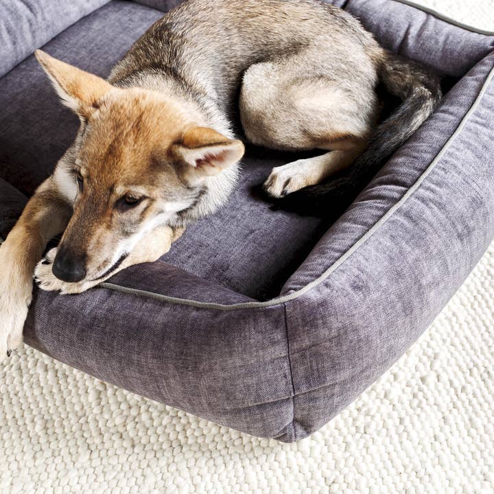 LABONI - Volentis GmbH - Wholesale Pet Bed - Dog - ORTHO PET BED GLAM21