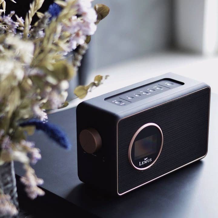 lemus – wholesale Speakers – Lemus DAB+