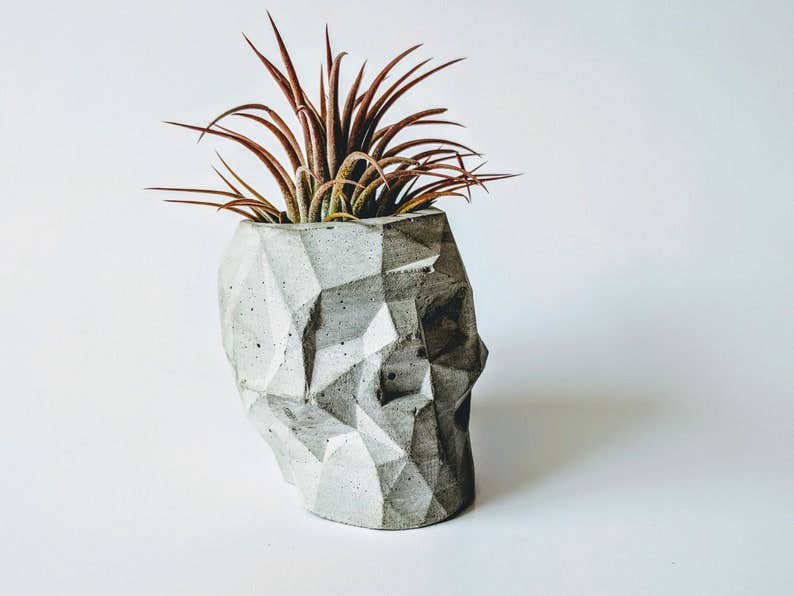 ForgottenProperty - Wholesale Plant Pot - Concrete Geometric Skull Air Plant Holder3