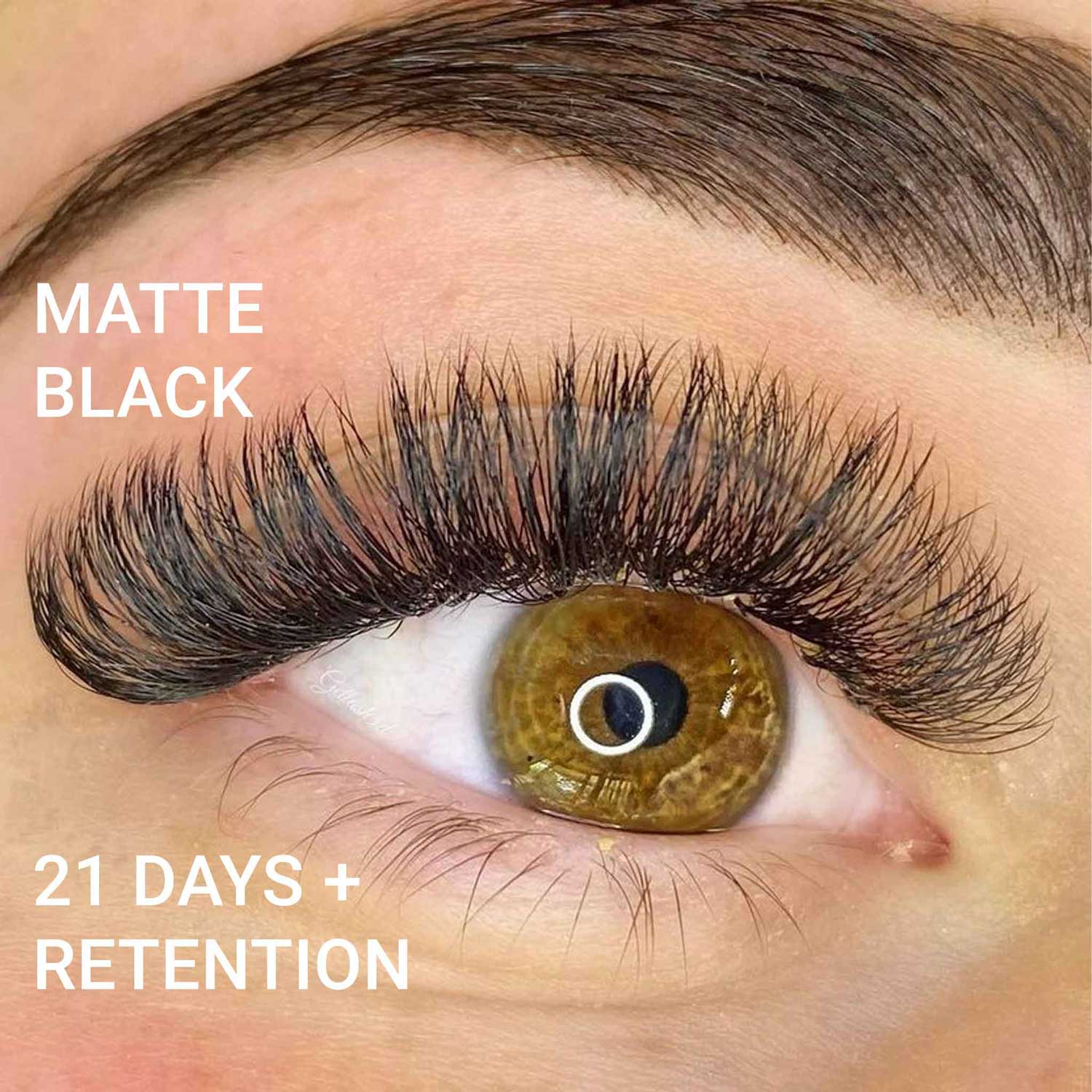 Eyesy Lash - Vendita all'ingrosso Ciglia finte - Ventilatori prefabbricati 6D | ¢1,35 /ventola | 0,07 .05 | 1000 ventole fatte a mano4