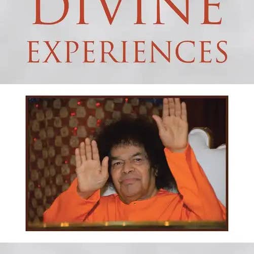 Books by splitShops - Wholesale Book - Adult - Divine Experiences - Paperback
