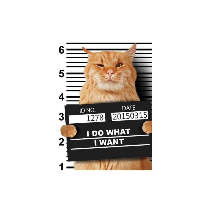 Kalan - Wholesale Magnet - I Do What I Want Cat in Jail Jumbo Magnet