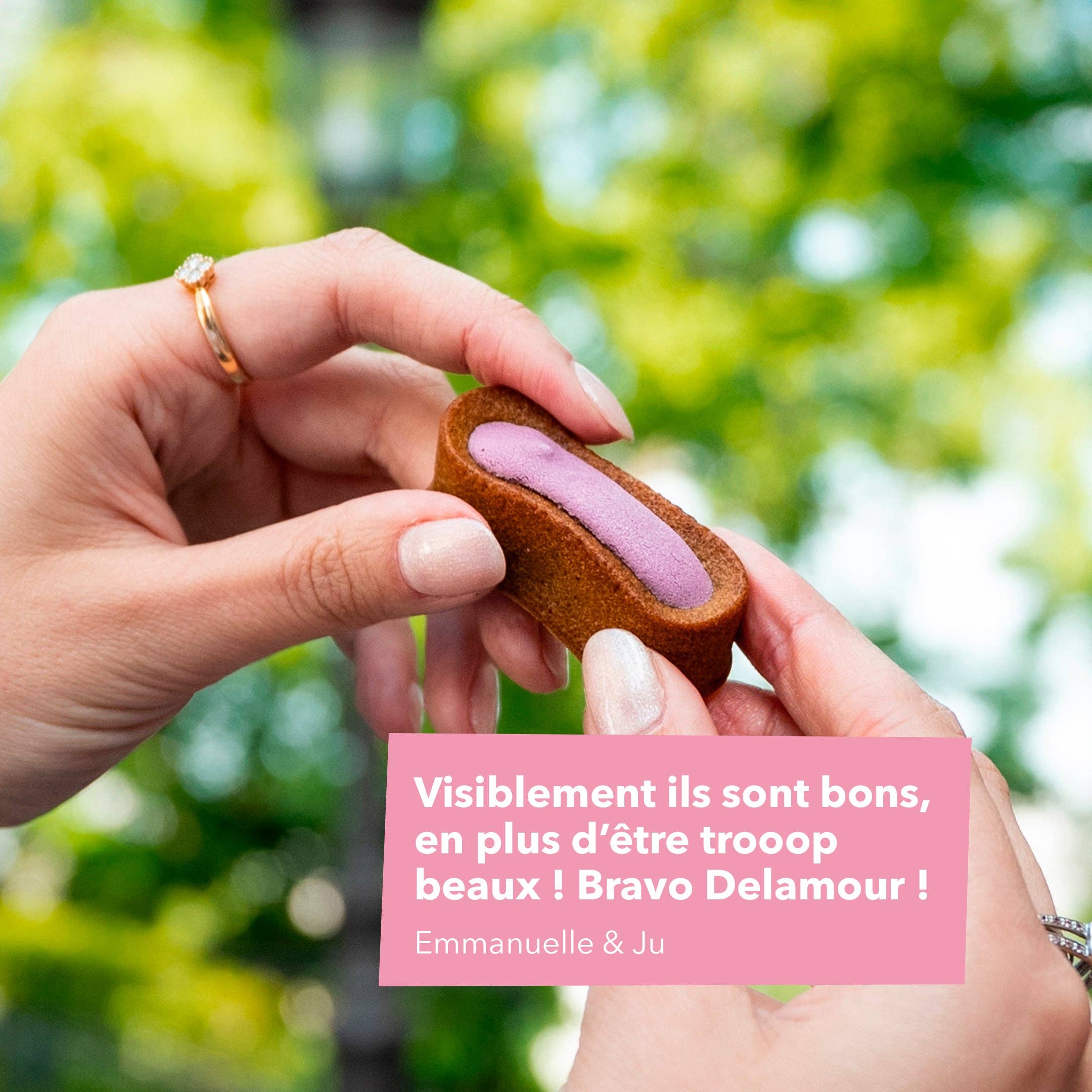 Delamour - Wholesale Pet Treats - Dog - Le Moelleux - 7 Pâtisseries for healthy skin and shiny hair3