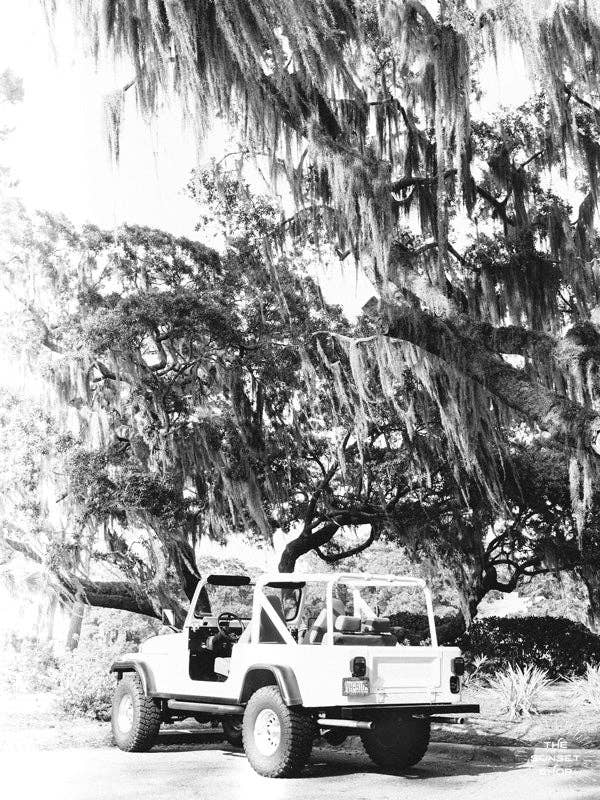 Spanish Moss CJ for wholesale by The Sunset Shop