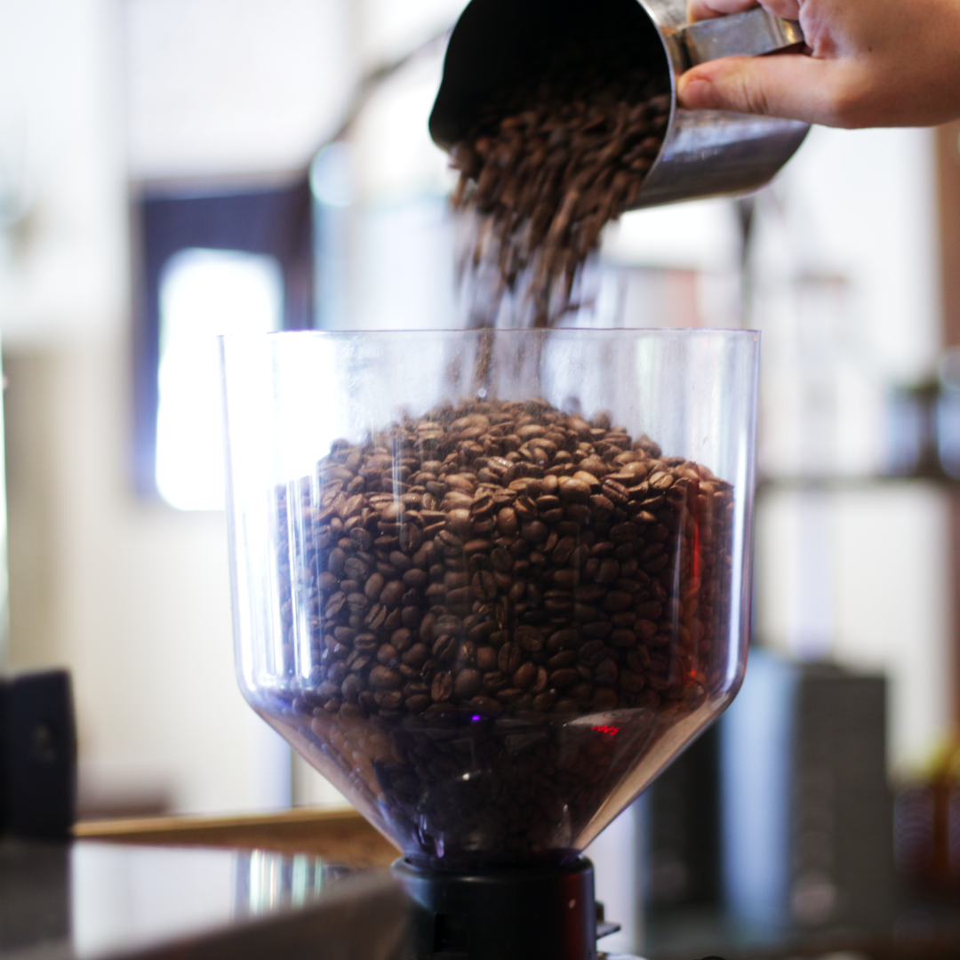 San Francisco Coffee Roasting Co - Wholesale Coffee Beans - Costa Rican Tarrazu - 5LB2