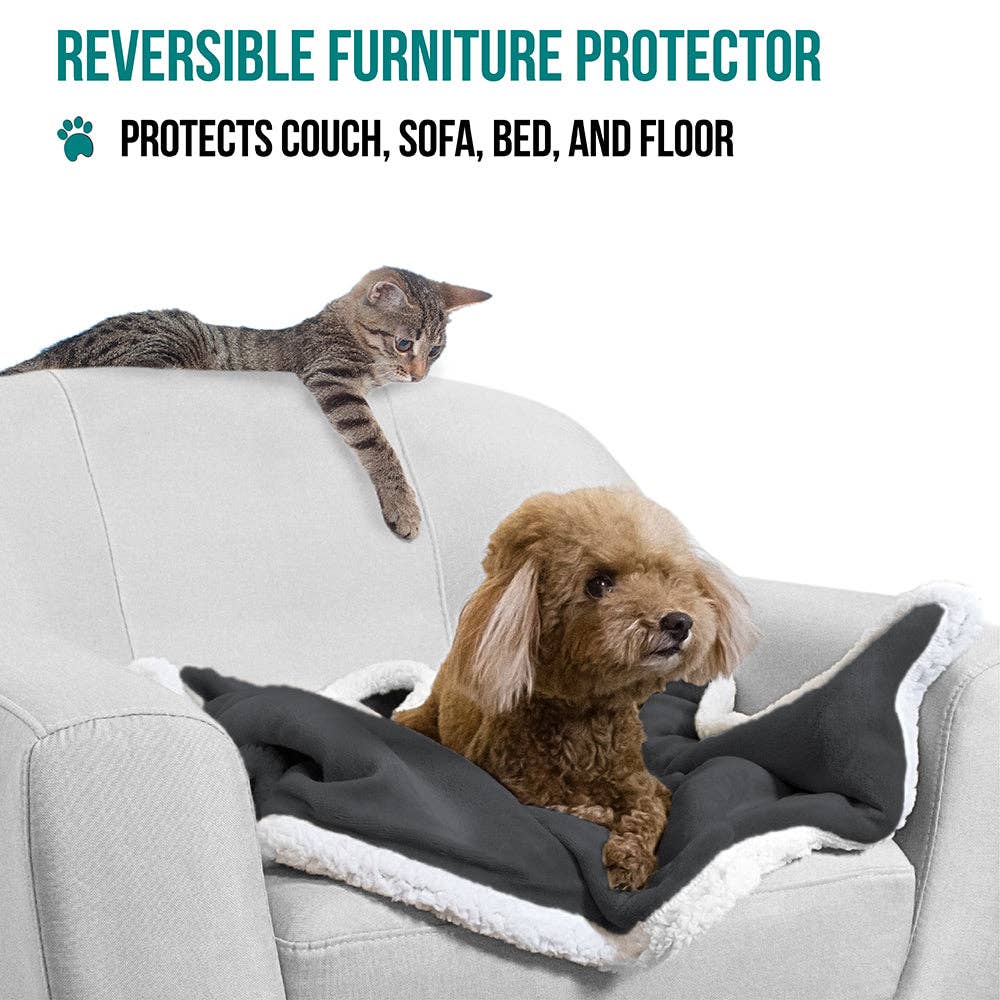 PetAmi - Vente Couverture – chat et chien - Couverture pour animaux en polaire réversible38