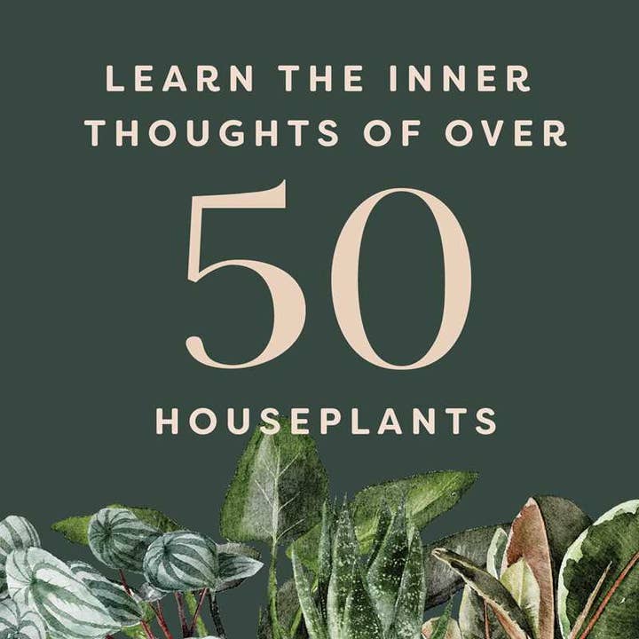 Simon & Schuster - Wholesale Book - Adult - Houseplants and Their Fucked-Up Thoughts by Carlyle Christoff