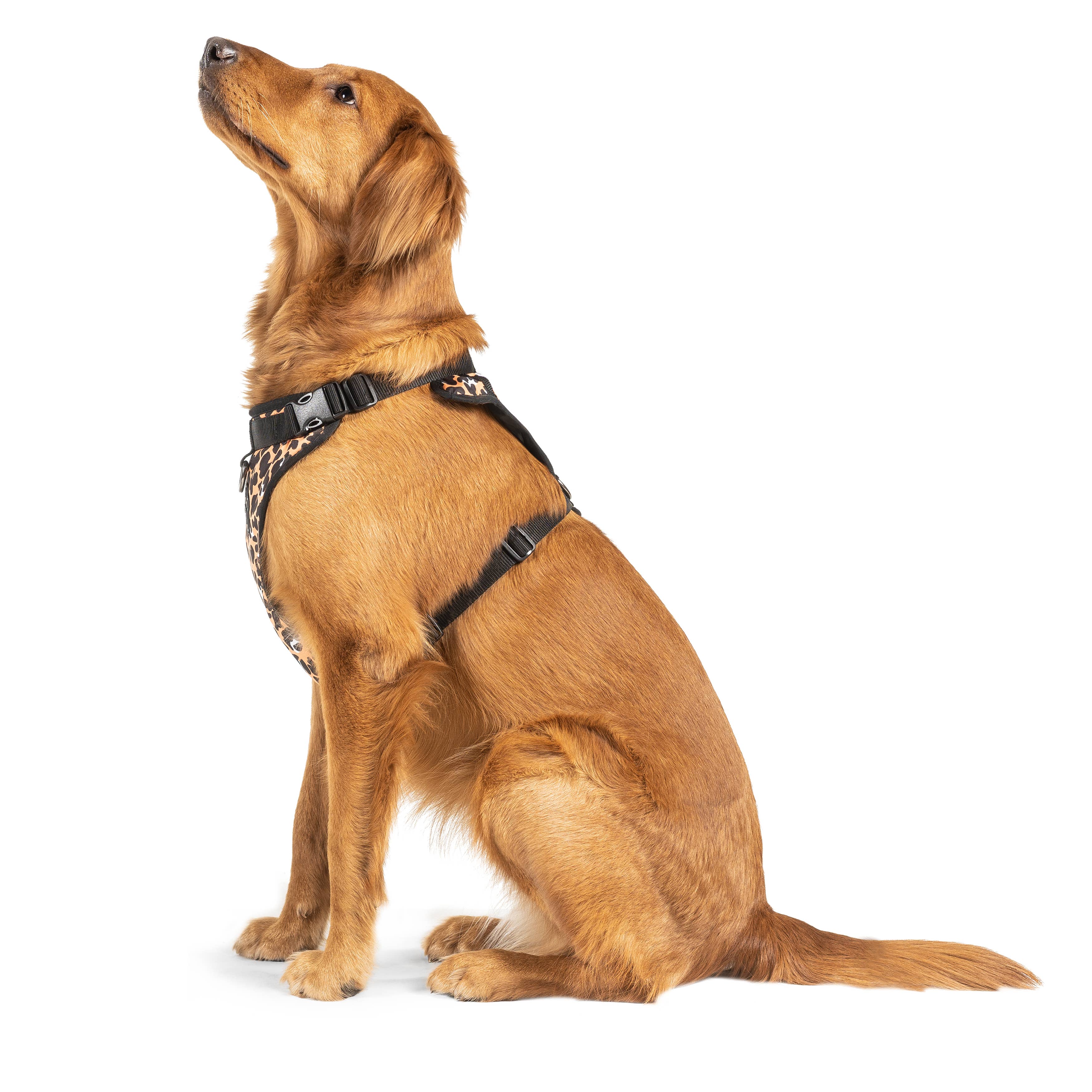 Canada Pooch – wholesale Pet harness – Dog – Everything Harness- No-Pull Dog Harness (Water Resistant)25