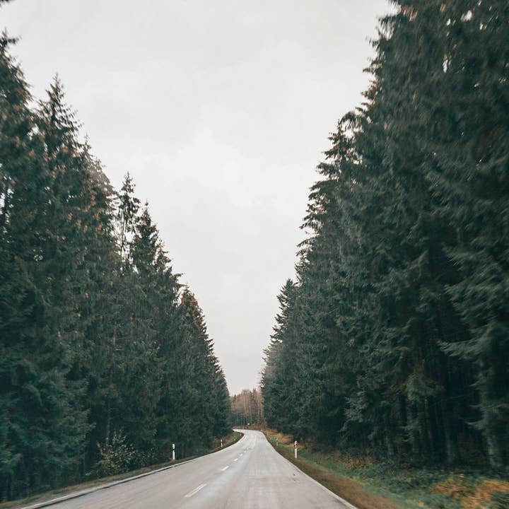 Belgien 8 für den Großhandel von Autumn Carolynn Photography