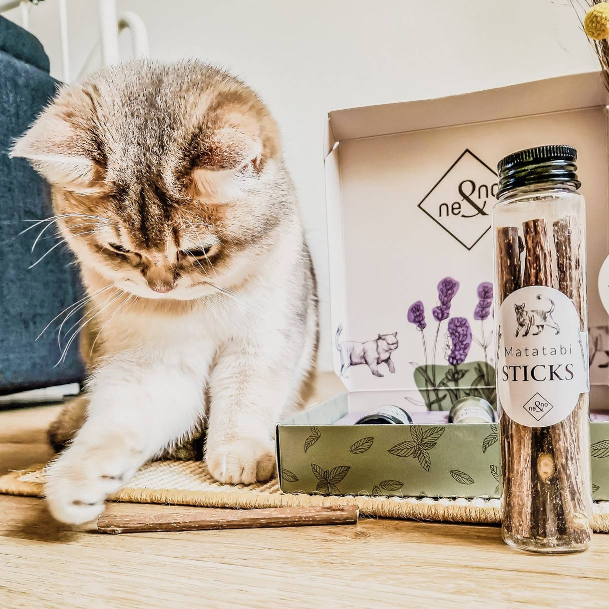 ne&no – Engroshandel Legetøj - Kat – ne&no® Matatabi pinde til katte - sæt med 3 - i gaveæske4